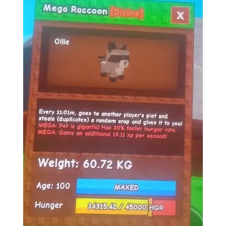 60kg Mega Raccoon Gag | Grow a Garen