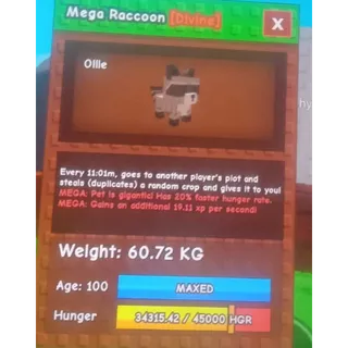 Mega Raccoon 60kg Gag | Grow a Garden