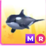 MEGA RIDE ORCA
