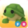 Fr turtle