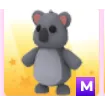 Mega Koala