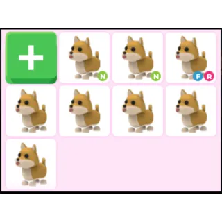 Shiba inu bundle