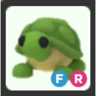 FR TURTLE