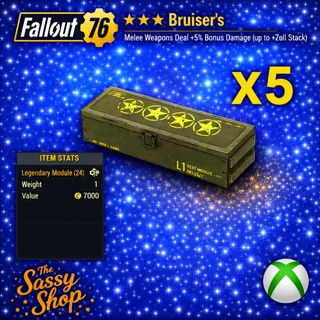 4 Star Bruiser's Mod X 5