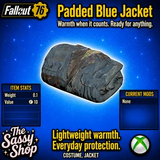 Padded blue jacket