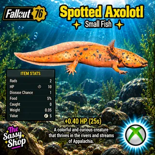 Spotted Axolotl