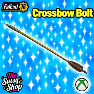 Crossbow bolt x 500
