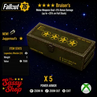 4 Star Bruiser's Mod X 5