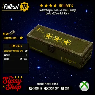 4 Star Bruiser's Mod X 1