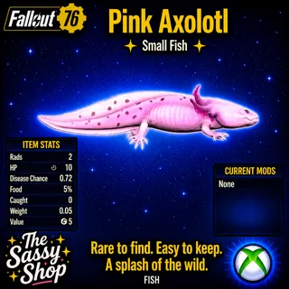 Pink Axolotl