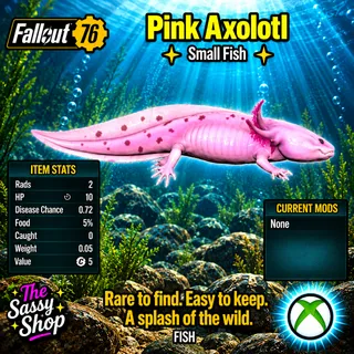 Pink Axolotl