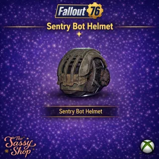 Sentry bot helmet