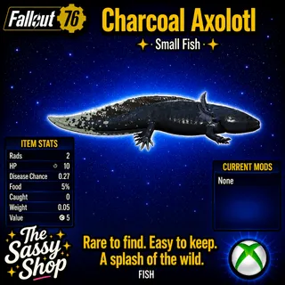Charcoal Axolotl