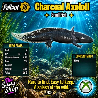 Charcoal Axolotl