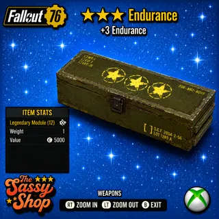 3 Star Endurance Mods X 1
