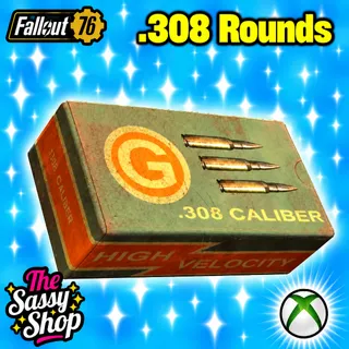 .308 round X 20,000