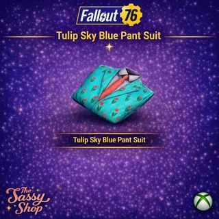 Tulip sky blue pant suit