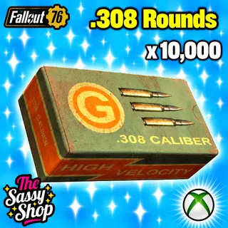 .308 round X 10,000