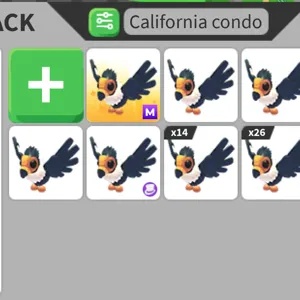 16x California Condor