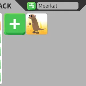 meerkat