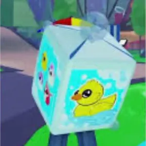 2000x Rubber Ducky Box