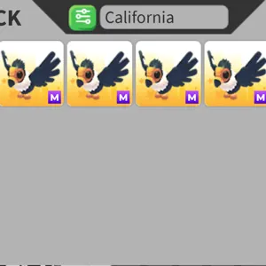 1x M California Condor