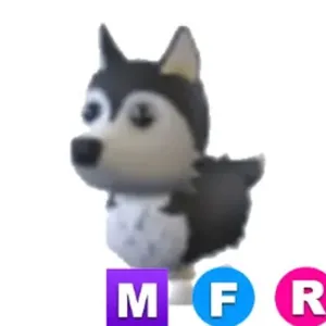MFR Husky