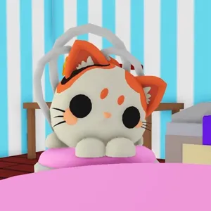 Mochi Meow M Pre-Order