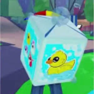 250x Rubber Ducky Boxes