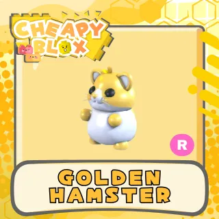 Golden Hamster R