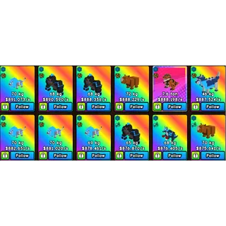 BUILD A ZOO - 12X PET BUNDLE