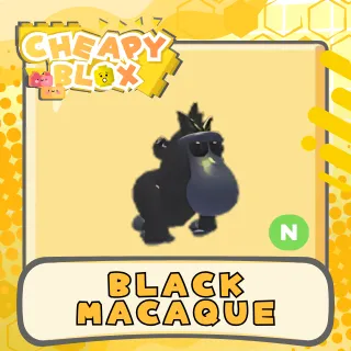 BLACK MACAQUE NEON