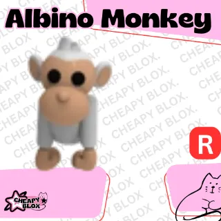 R ALBINO MONKEY