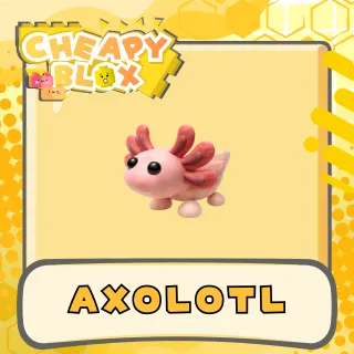 Axolotl