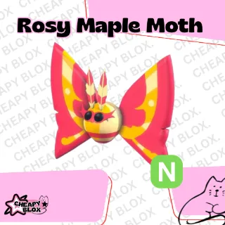 Rosy Maple Moth Neon