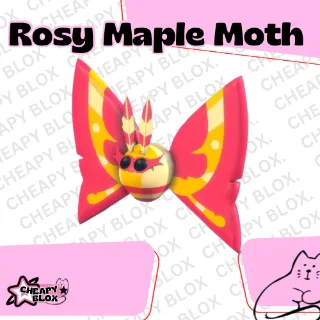 Full Grown Rosy Maple Moth