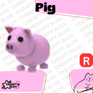R PIG