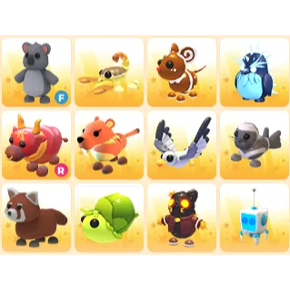 Bundle Pet x12