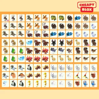 Bundle Pet