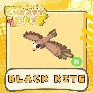 BLACK KITE NEON