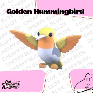 Golden Hummingbird