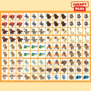 Bundle Pet