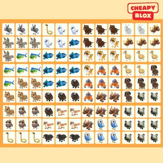 Bundle Pet