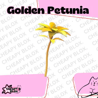 Golden Petunia