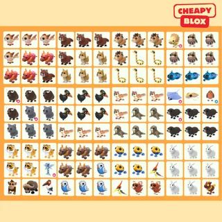 Bundle Pet