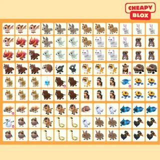 Bundle Pet