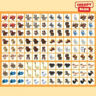 Bundle Pet