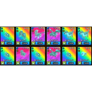 x12 Pet Bundle | Build a Zoo