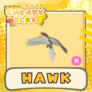 Hawk R