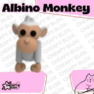 ALBINO MONKEY